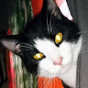 Meet your Posher, Kathy